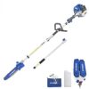 best pole saws Hyundai 52cc Petrol Long Reach Pole Pruner