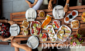 10 Clever Ways to Keep Flies Away Outside (From Food & BBQ)