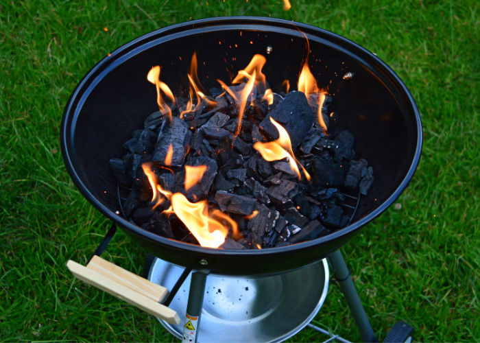 BBQ Charcoal for Plants