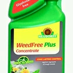best weed killers Neudorff WeedFree Plus Weed Killer