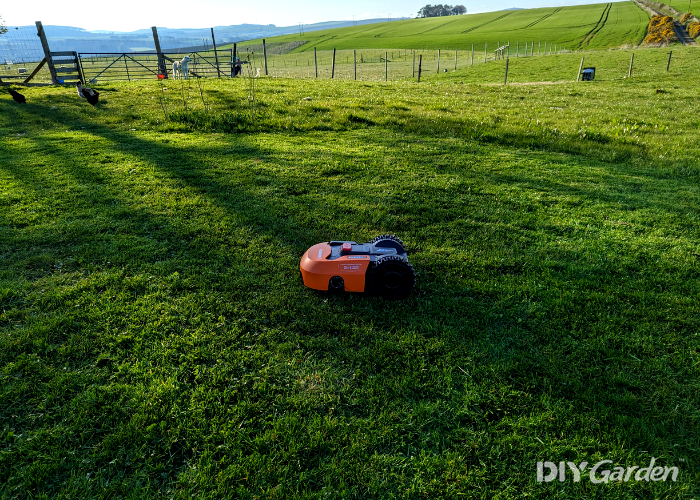 WORX Landroid S WR130E Robot Lawn Mower Review - performance