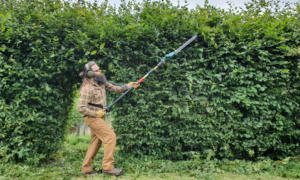 7 Best Cordless Hedge Trimmers 2026 (UK Tested & Reviews)