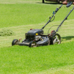 best professional lawn mower uk