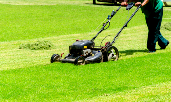 7 UK's Best Lawn Mowers to Buy in 2024 (Tested & Review)