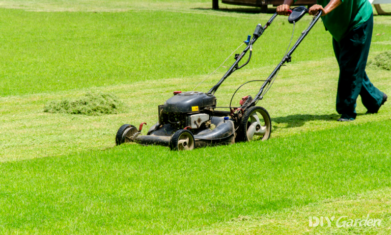 5-best-professional-lawn-mowers-uk-2023-review