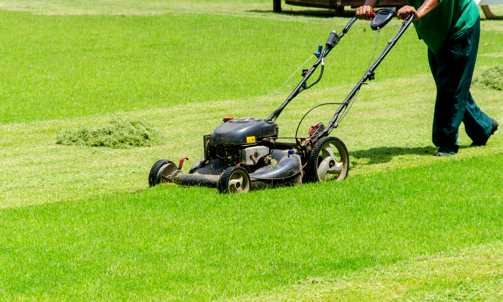 best professional lawn mower uk