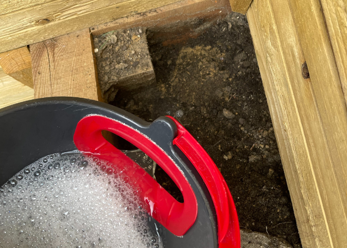 pouring boiling water to kill ants