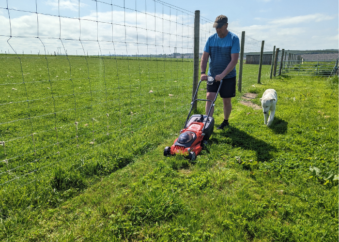 Flymo EasiStore 340R Li Cordless Rotary Lawn Mower Review - Overall