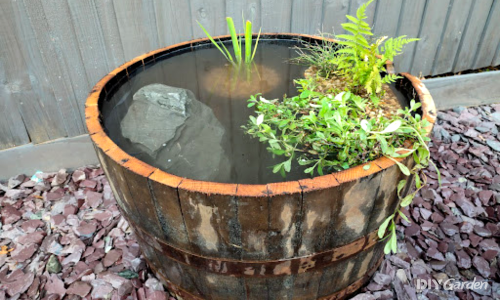 How to Make a Wildlife Barrel Pond for Under £100