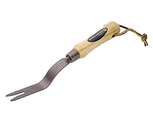 best weeding tool Spear & Jackson Daisy Grubber