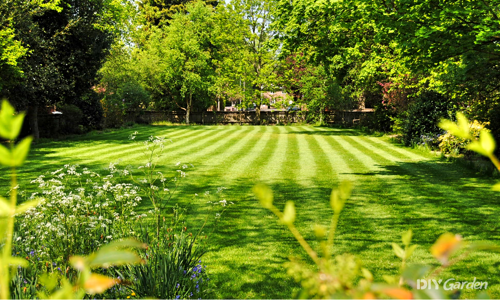 A beautifully maintained large lawn