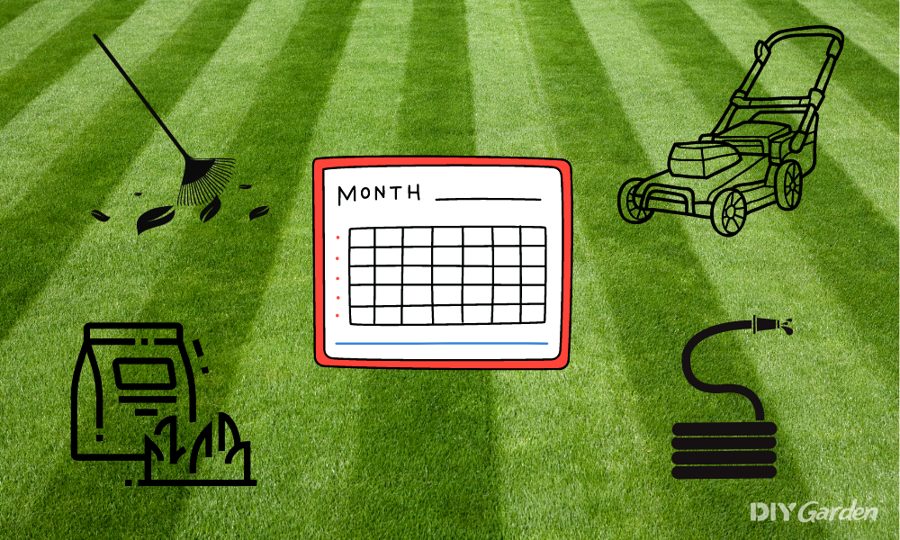 Month by Month Lawn Care Calendar for UK Gardens