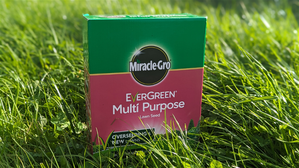 Miracle Gro EverGreen Multi Purpose Lawn Seed Review