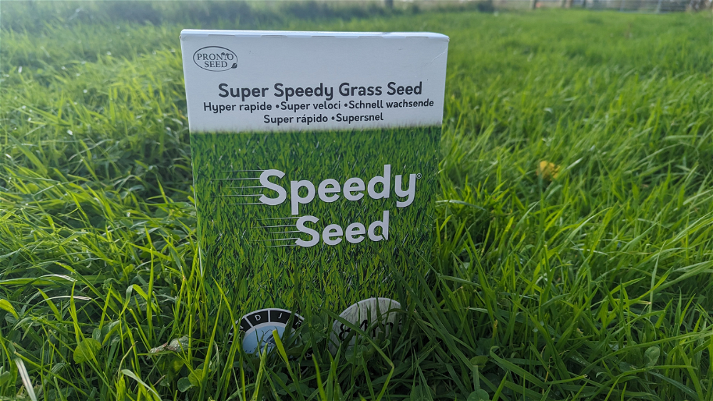 Pronto Seed Speedy Seed Grass Seed Review