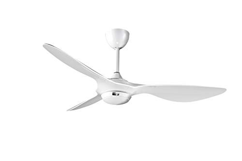 best ceiling fans for conservatories Reiga Bright White DC Motor Ceiling Fan
