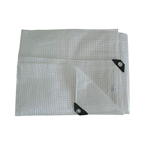 best tarpaulins SolaDirect 4x4m Reinforced Mesh Clear Mono Sheet