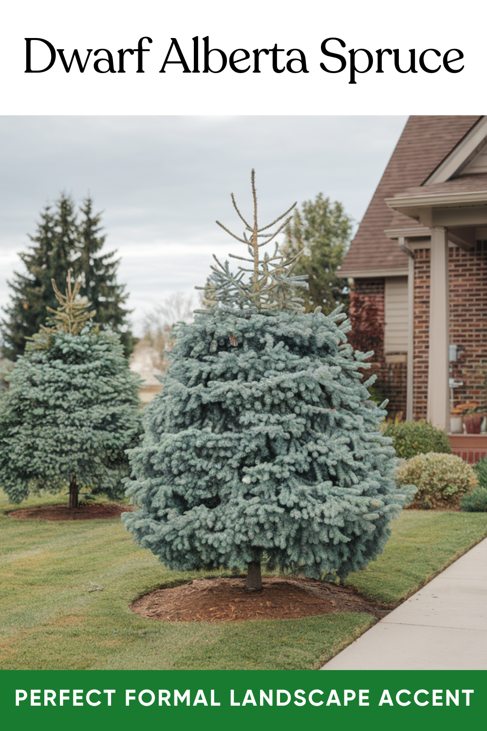 11 Gorgeous Small Trees For Your Front Yard to Boost Curb Appeal | DIY ...