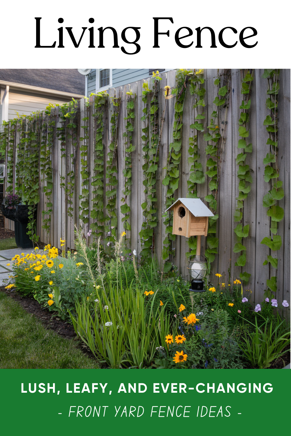 25 Front Yard Fence Ideas to Boost Your Curb Appeal | DIY Garden