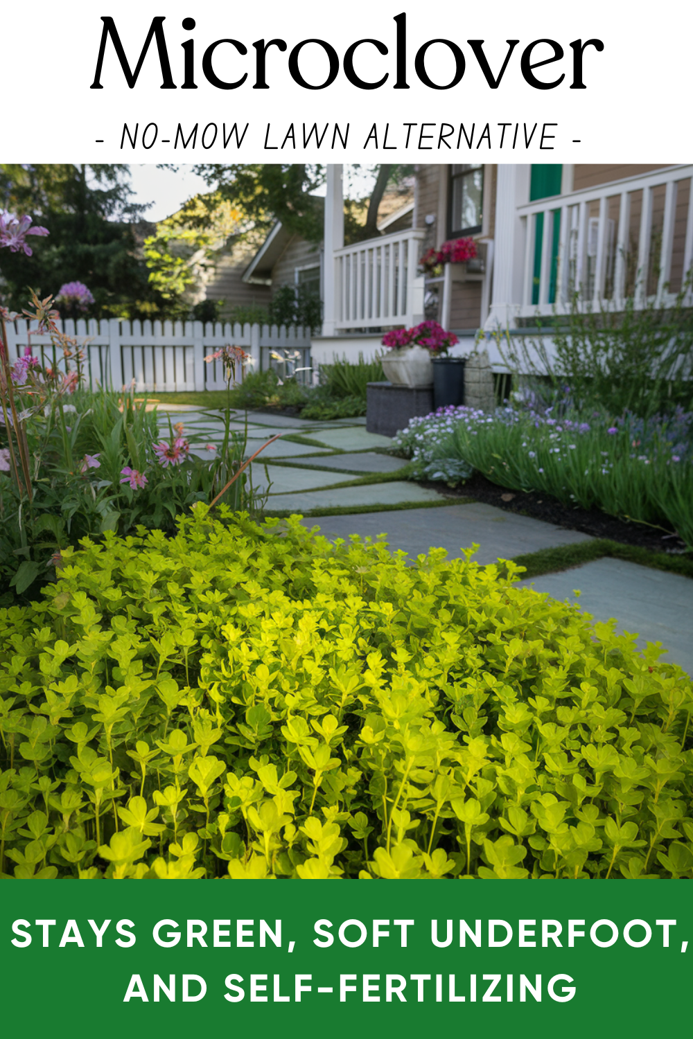 15 Easy No-Mow Lawn Alternatives for a Beautiful, Low-Maintenance ...