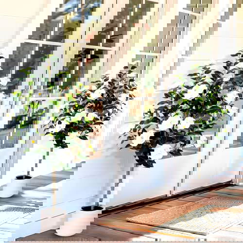 best faux plants for your front porch Artificial Camellia Tree