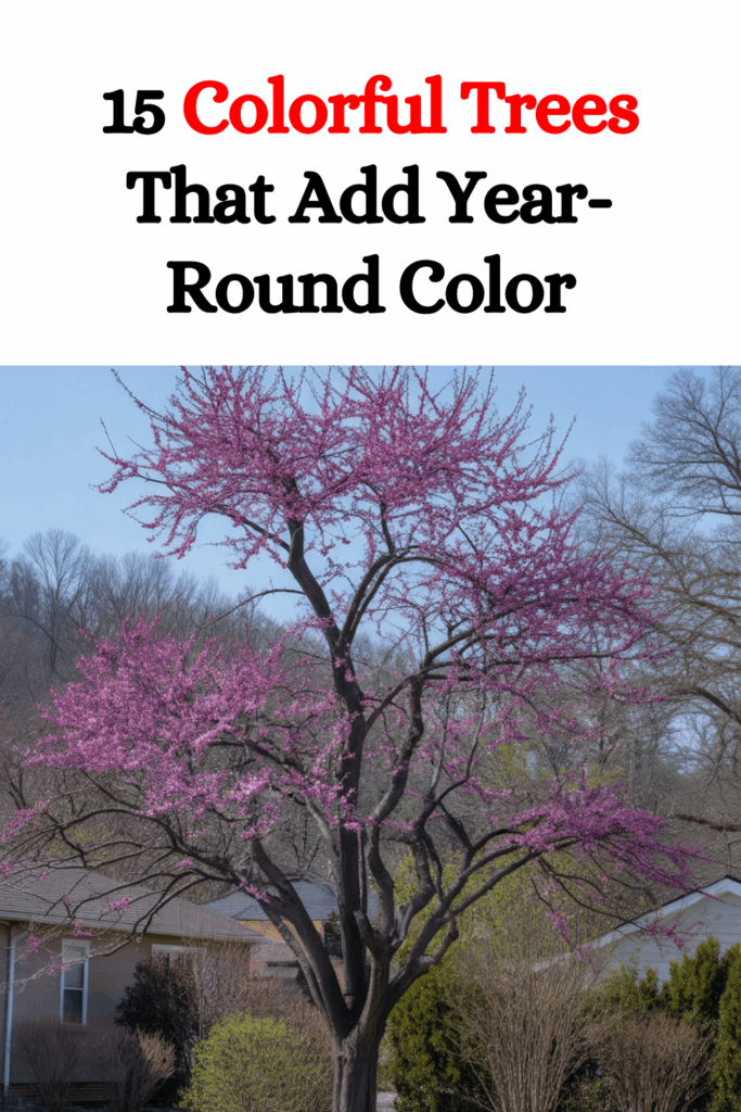 15 Colourful Trees That Add Year-Round Colour and Instant Curb Appeal to Your Landscape
