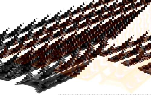 best fox deterrent B06WVH13Z1