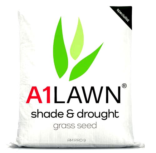 best grass seed for shade B007FA9WOS