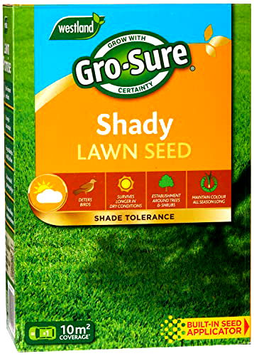 best grass seed for shade B00PLYYWWW