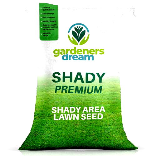 best grass seed for shade B00YV5CEYU