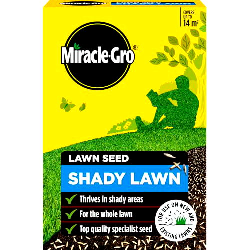best grass seed for shade B07JGK7MHX