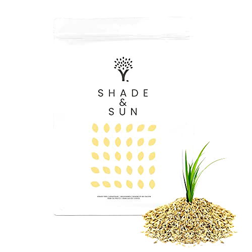 best grass seed for shade B07RJXX8H2