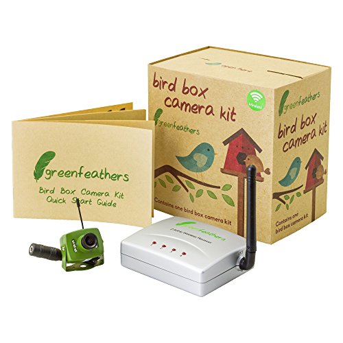 best bird box camera B01MQDQ8P5