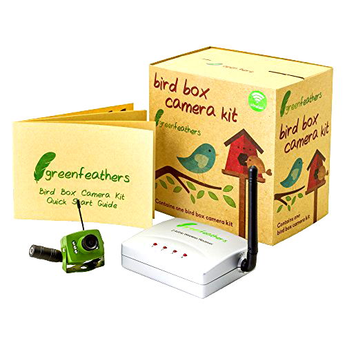 best bird box camera B01MQDQ8P5