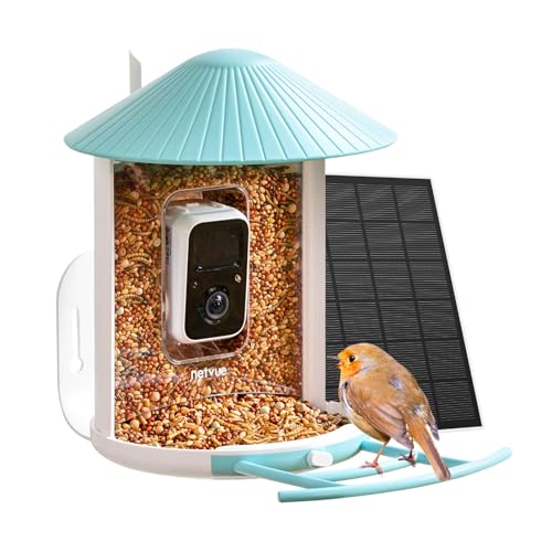 best bird box camera B09Q8Q1JSF