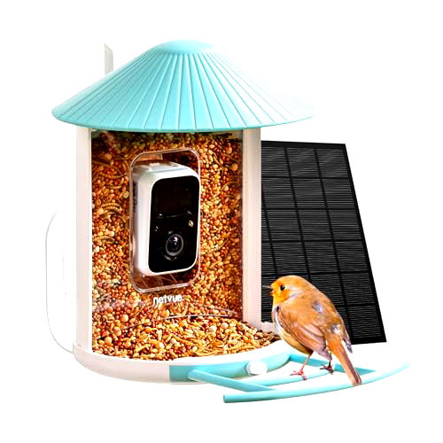best bird box camera B09Q8Q1JSF