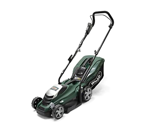 best lawn mower under 100 B01N210MSJ