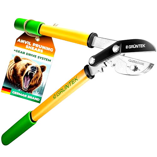 best tree loppers B01DBUK56Y