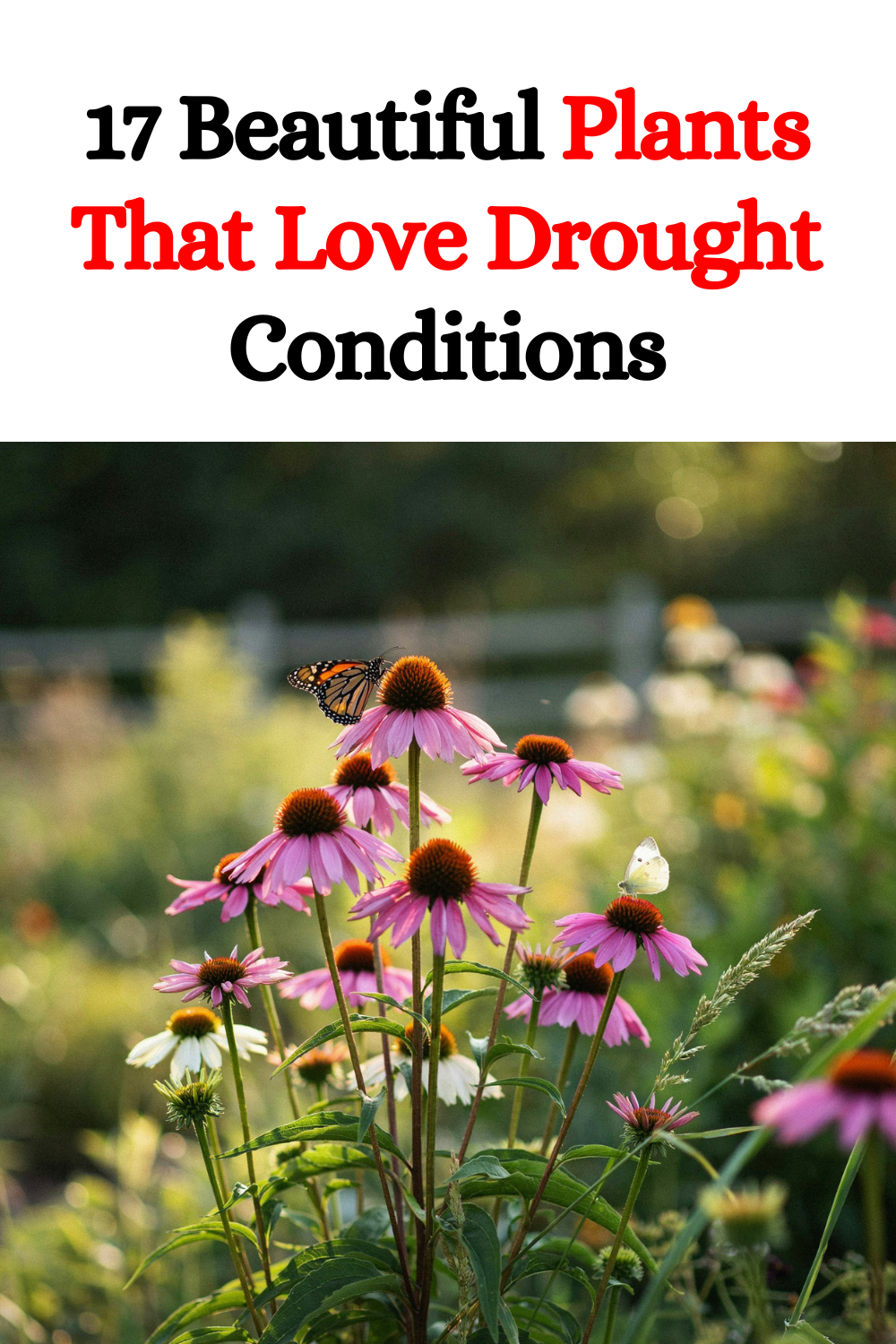 17 Beautiful Plants That Love Drought Conditions and Still Look Lush ...