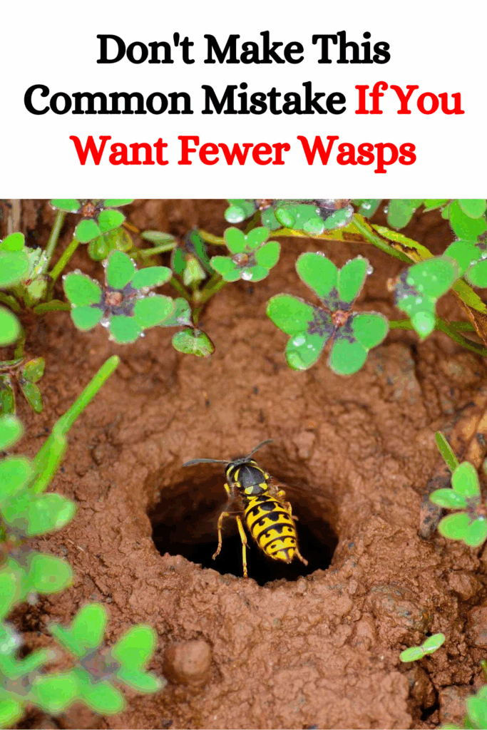 Don’t Make This Common Mistake If You Want Fewer Wasps